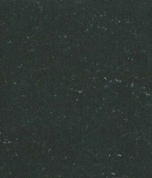 Linoleum Colorette 0081 Private Black