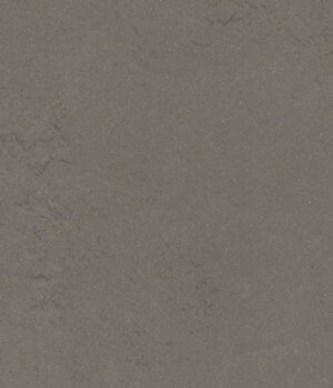 Linoleum Lino Art 0560 Bold Grey