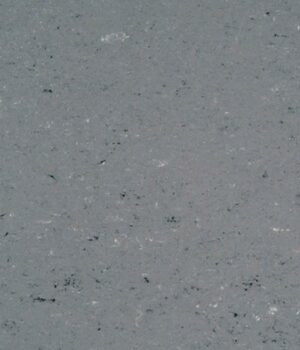 Linoleum Linogym 1059 Stone Grey