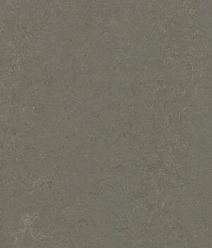 Linoleum Marmoleum Concrete 3723 nebula