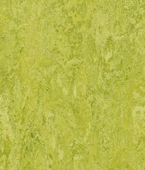 Linoleum Marmoleum Decibel 322435 chartreuse