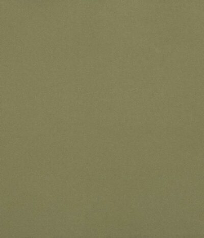 Linoleum Uni Walton 0090 Olive